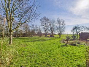 Paddock- click for photo gallery